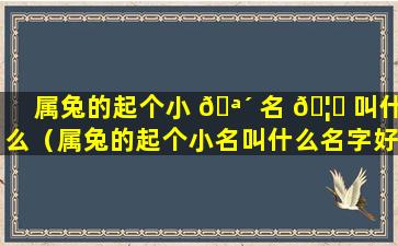 属兔的起个小 🪴 名 🦉 叫什么（属兔的起个小名叫什么名字好听）